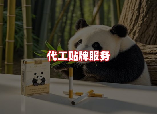 专业团队